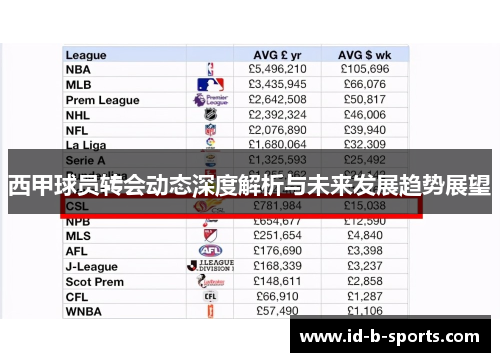西甲球员转会动态深度解析与未来发展趋势展望